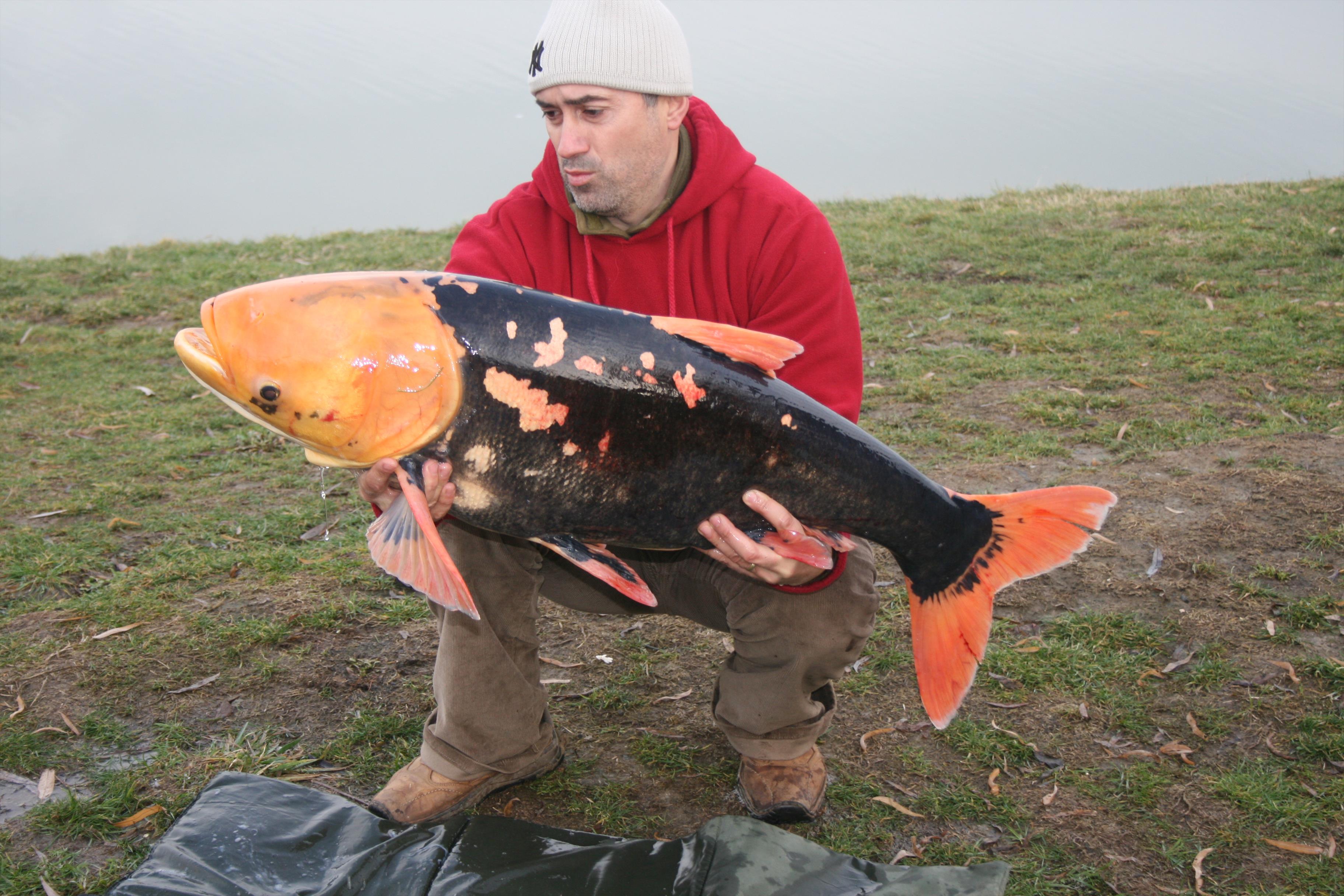 Un Extraterestru pe Floarea Popestiului  - Pescar: Catalin Nastase